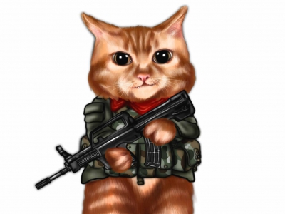 猫咪战士